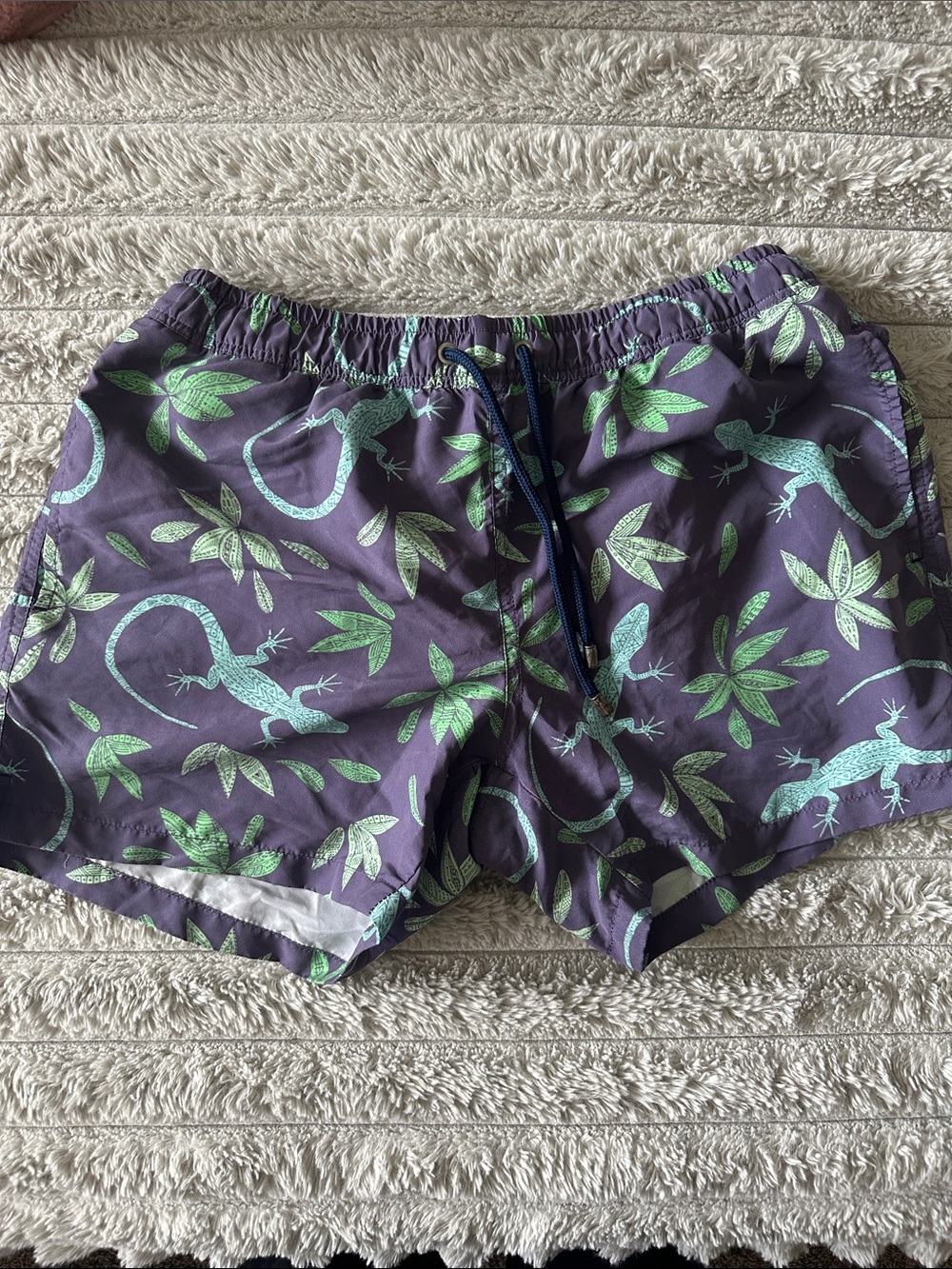Men's Purple Swim Trunks with Green Lizard Print
